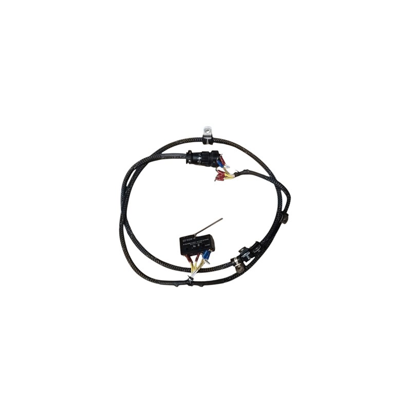 Omron Micro Switch including Cable   PN DZ-10GW-1B