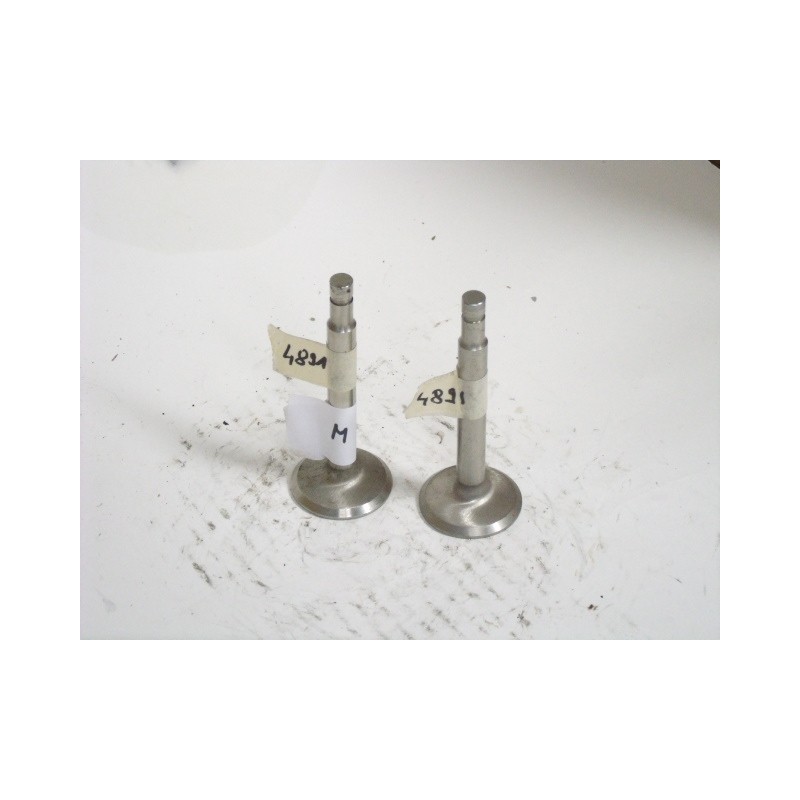 Continental C85 Valve 3921-TP