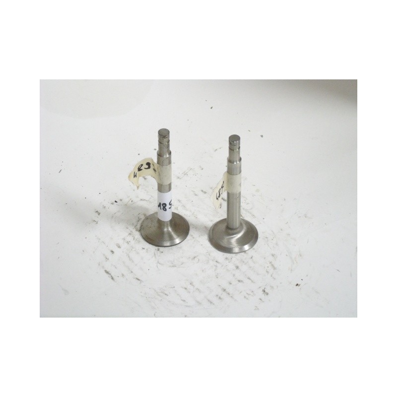 Continental C85 Valve 6294-04