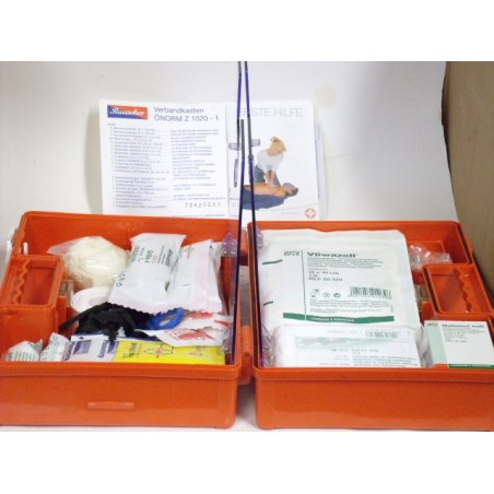 Rauscher Erste hilfe (First Aid) Önorm Z1020-1