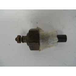 Plug Sensor 