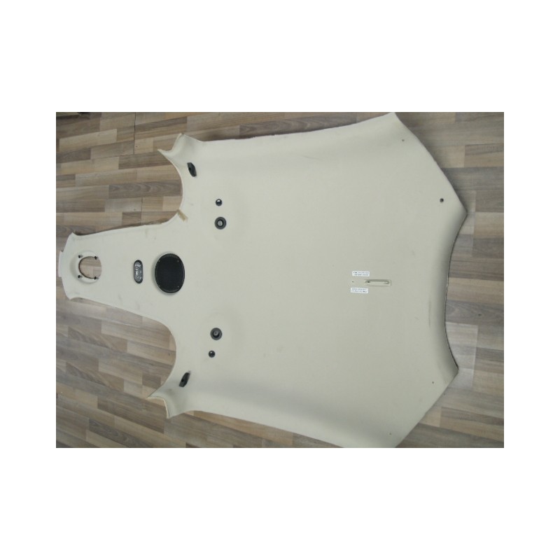 Cirrus SR20 Ceiling including lights and speaker 