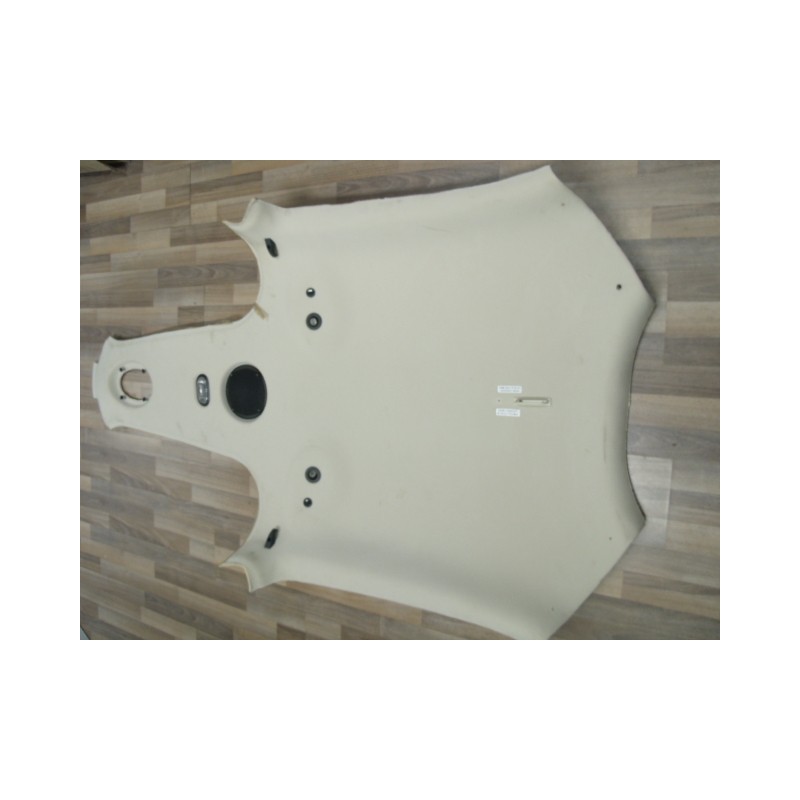 Cirrus SR20 Ceiling including lights and speaker 