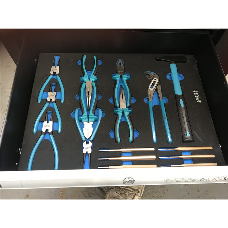 Löwenzahn Tool Box