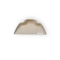 Cirrus Bulkhead plastic cover 20344-001